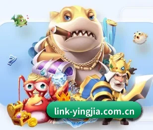 盈嘉体育的故事