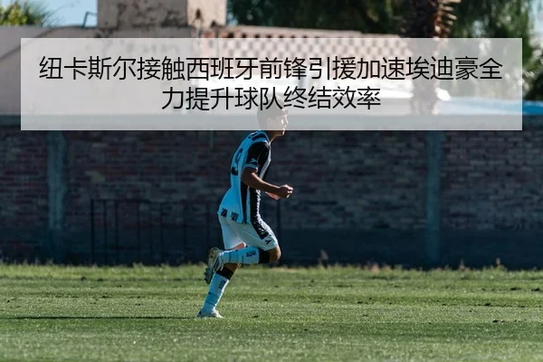 纽卡斯尔接触西班牙前锋引援加速埃迪豪全力提升球队终结效率