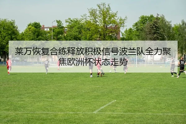 莱万恢复合练释放积极信号波兰队全力聚焦欧洲杯状态走势